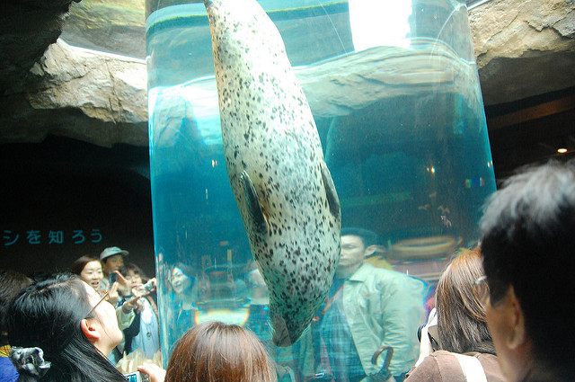 旭山動物園の画像