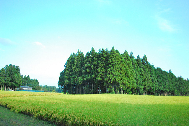 那須高原の画像